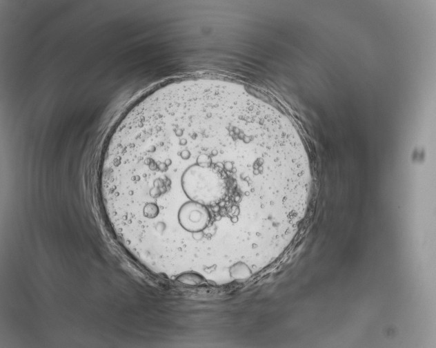 X0000116860241201001191707