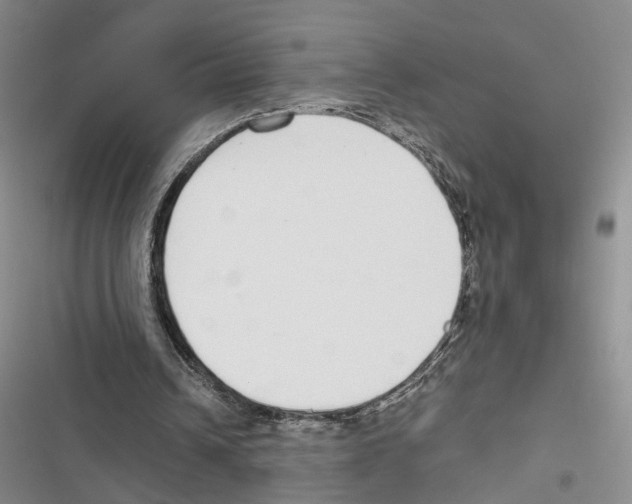 X0000116860242201001191707