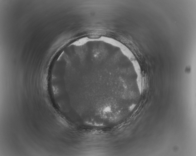 X0000116860243201001191707