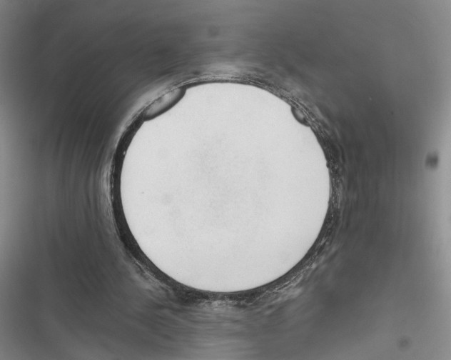 X0000116860244201001191707