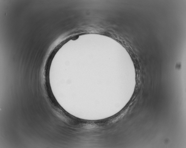 X0000116860246201001191707