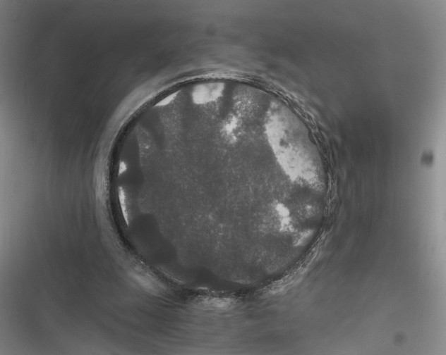 X0000116860247201001191707