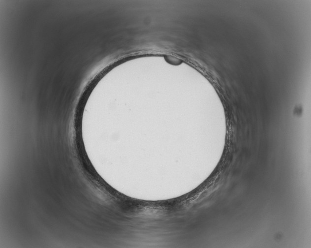 X0000116860248201001191707