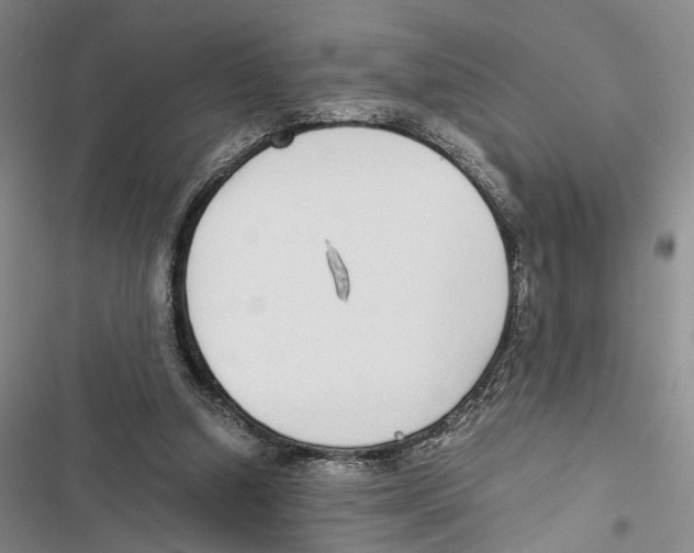 X0000116860250201001191707