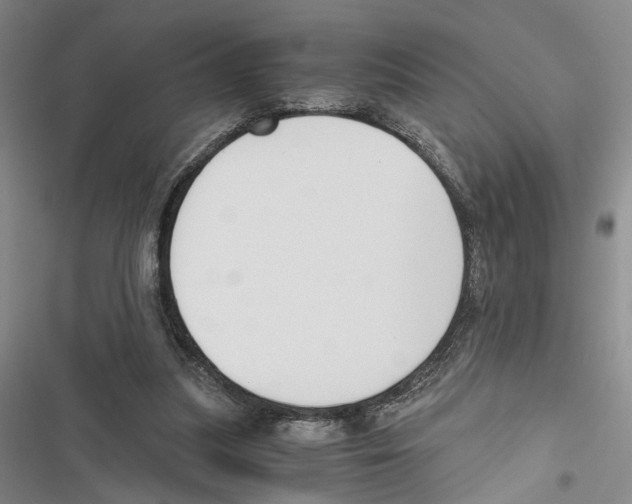 X0000116860251201001191708