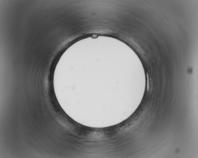 X0000116860252201001191708