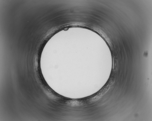 X0000116860253201001191708