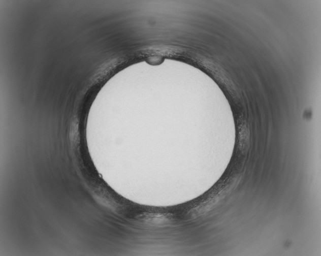 X0000116860254201001191708