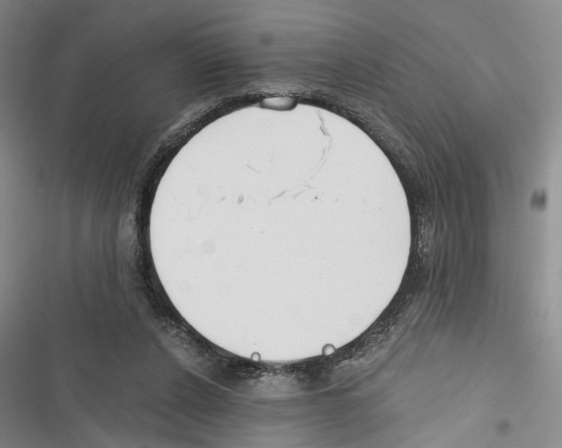 X0000116860256201001191708