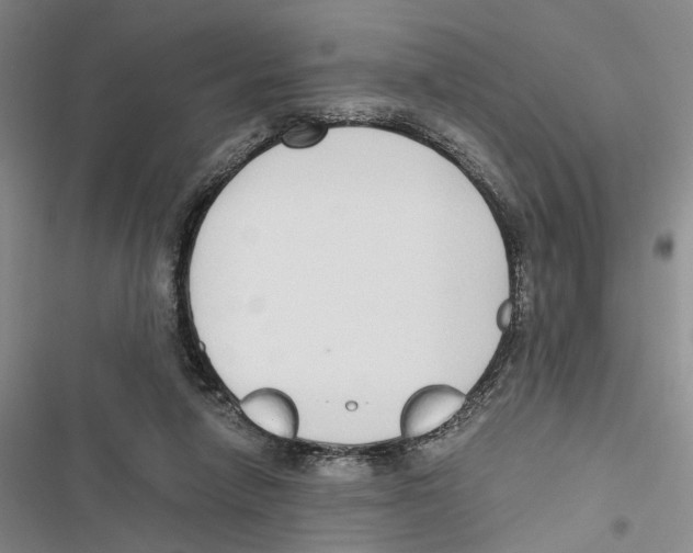 X0000116860258201001191708