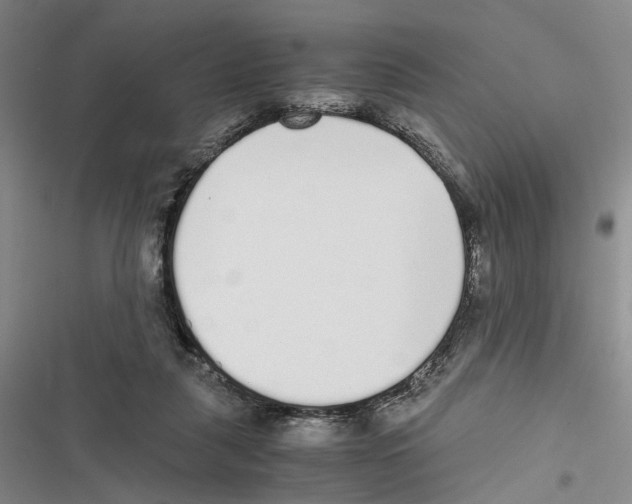 X0000116860259201001191708