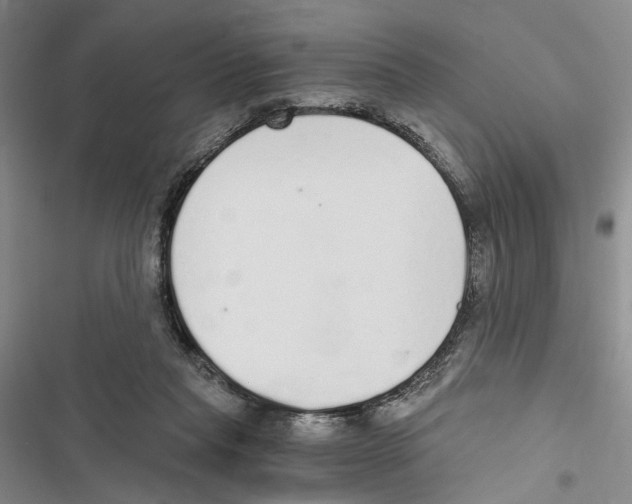 X0000116860261201001191708