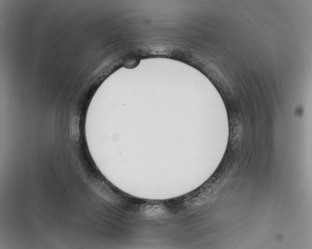 X0000116860262201001191708