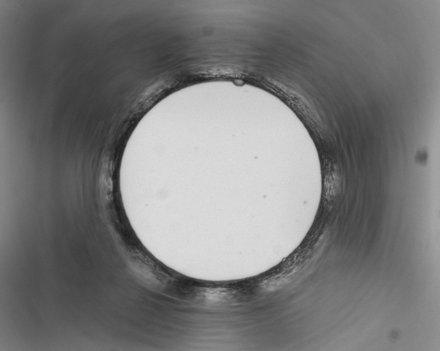 X0000116860264201001191708