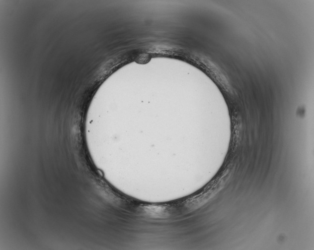 X0000116860265201001191708