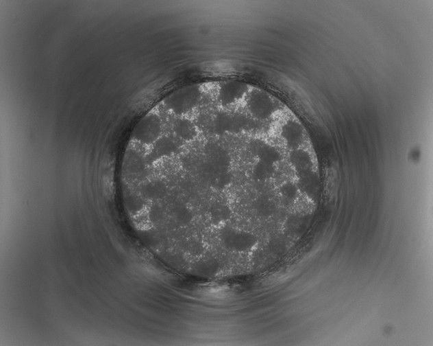 X0000116860267201001191708