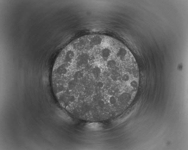 X0000116860269201001191708