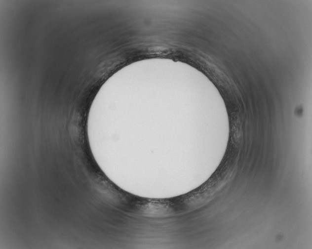 X0000116860270201001191708