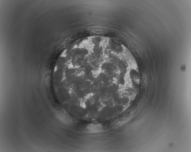 X0000116860271201001191708