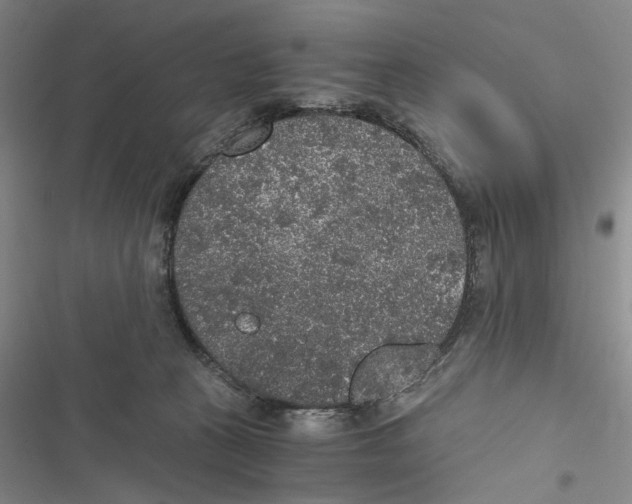 X0000116860273201001191708