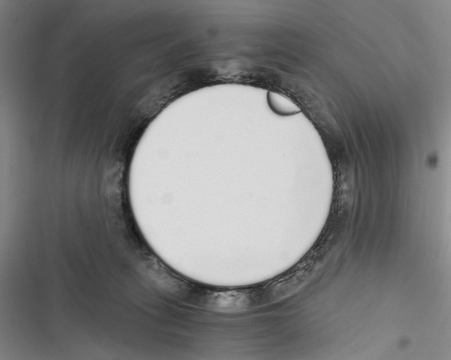 X0000116860275201001191708