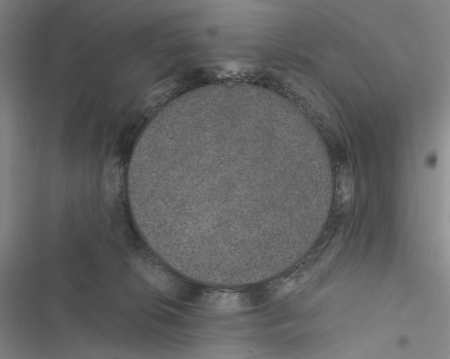 X0000116860276201001191708