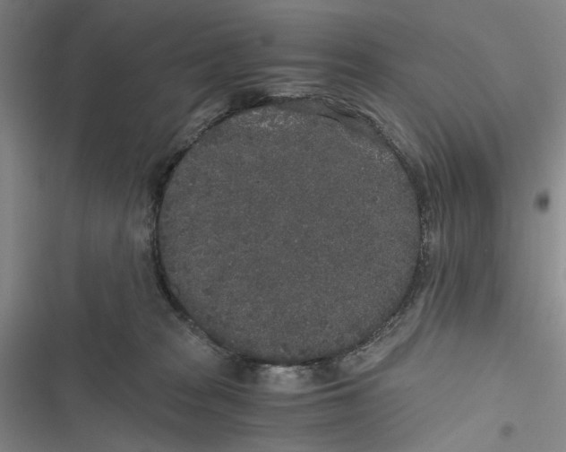 X0000116860277201001191708