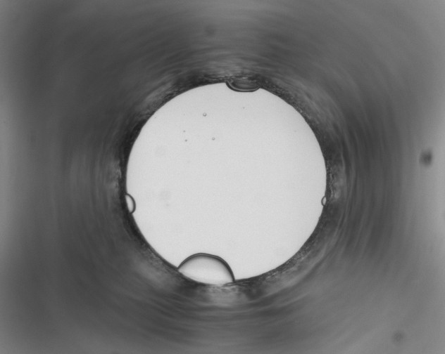 X0000116860279201001191708