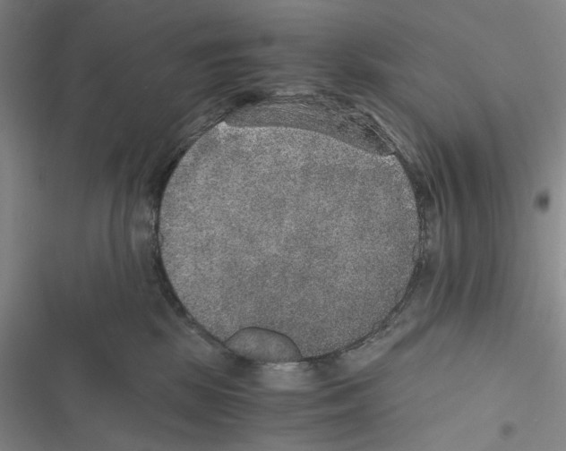 X0000116860281201001191708