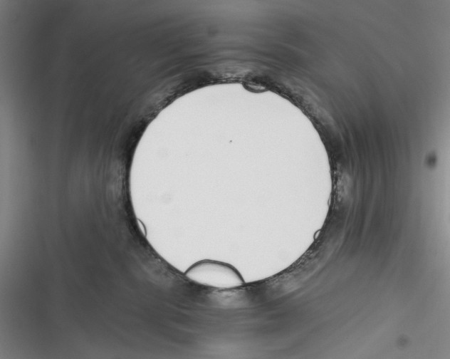 X0000116860283201001191708