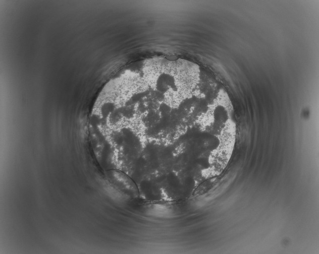 X0000116860285201001191708