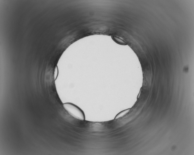 X0000116860287201001191708