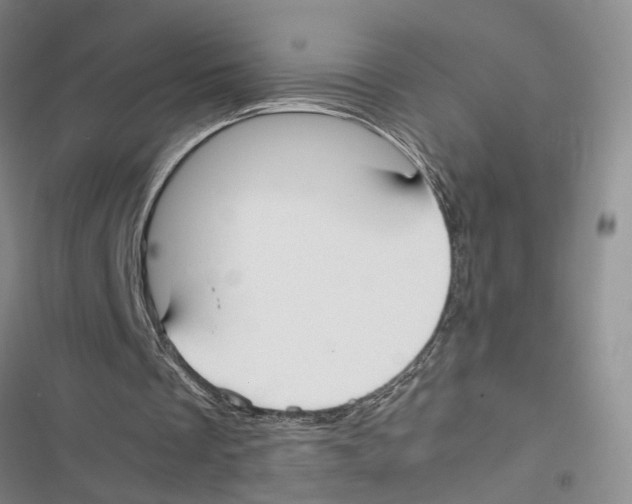 X0000116860289201001191707