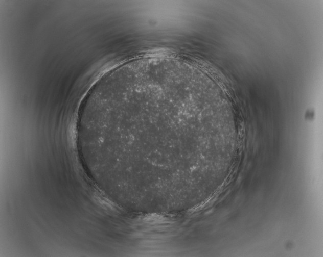 X0000116860290201001191707