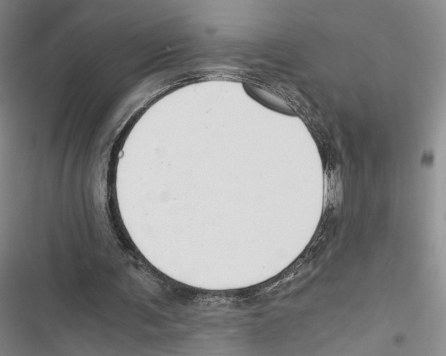 X0000116860291201001191707