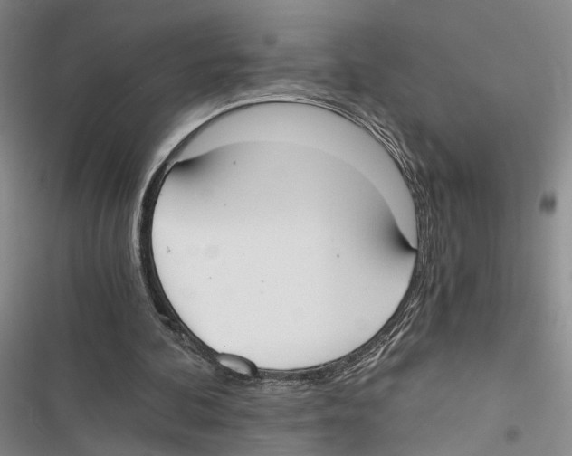 X0000116860292201001191707