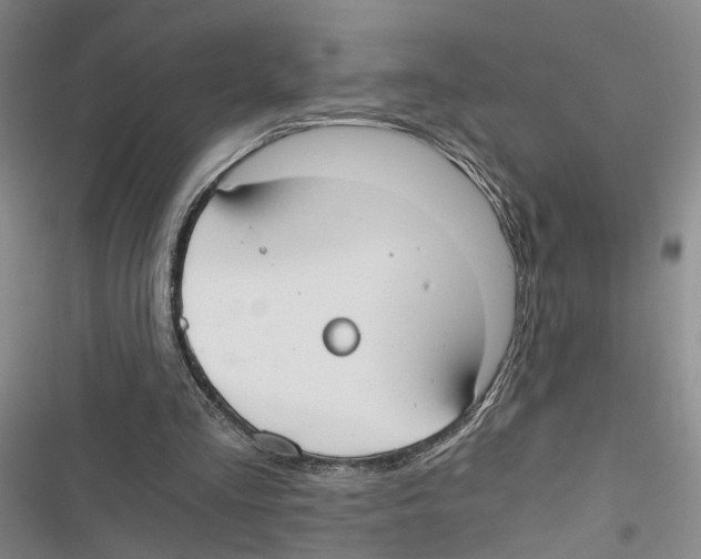 X0000116860293201001191707