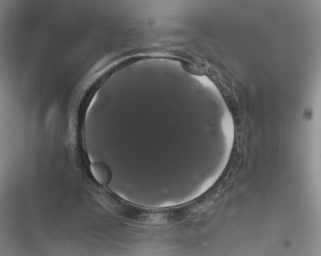 X0000116860295201001191707