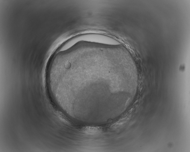 X0000116860296201001191707