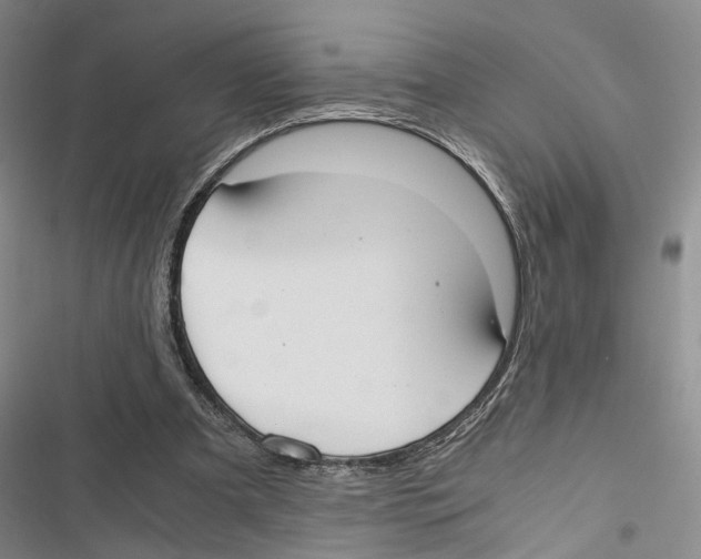 X0000116860297201001191707