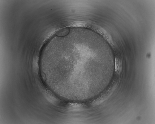 X0000116860300201001191707