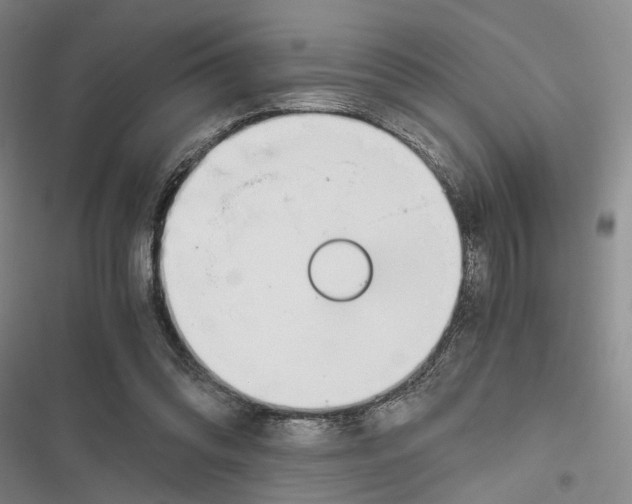 X0000116860302201001191707