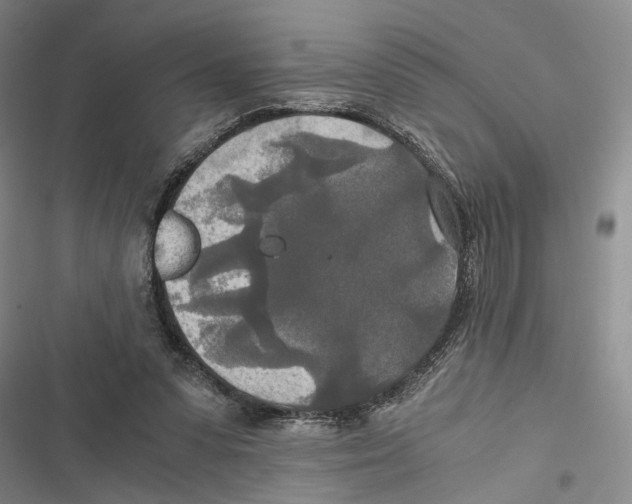 X0000116860303201001191707