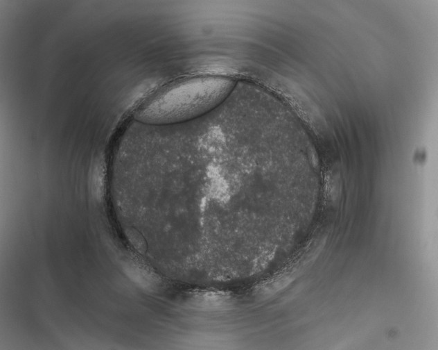 X0000116860304201001191707