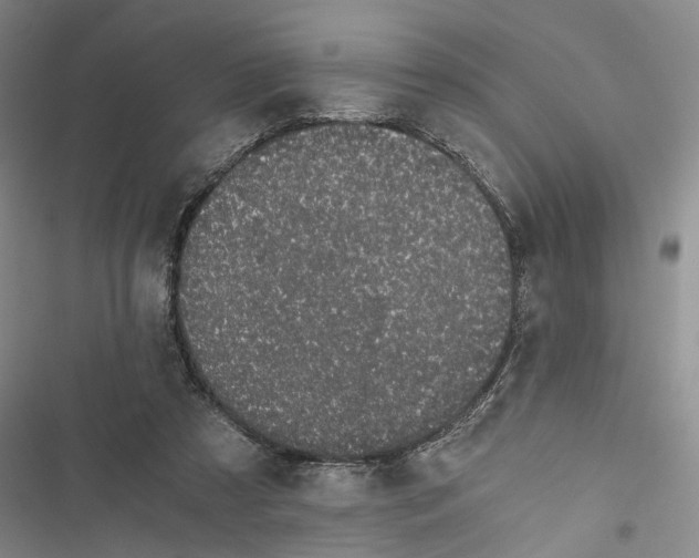 X0000116860305201001191707