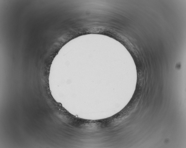 X0000116860307201001191707