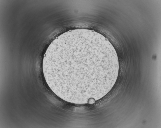 X0000116860309201001191707