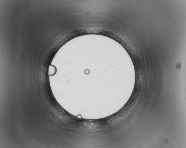 X0000116860311201001191707