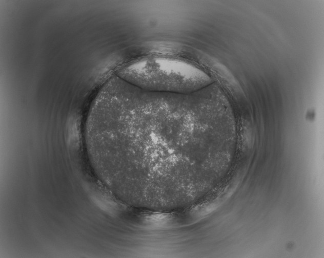 X0000116860312201001191707