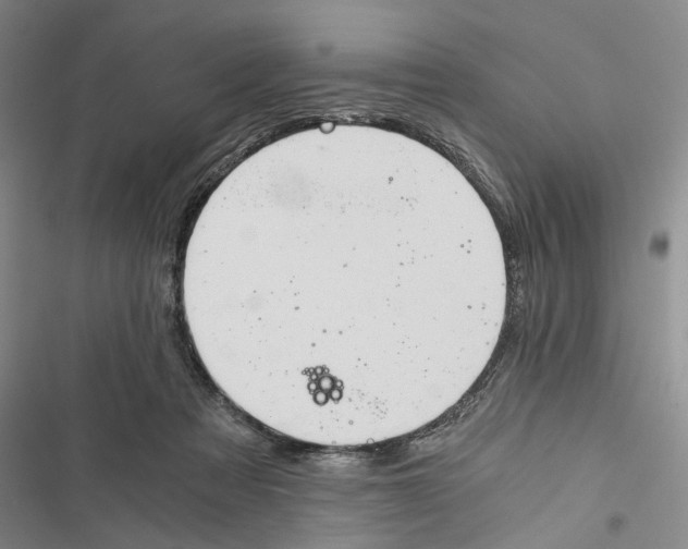 X0000116860313201001191707